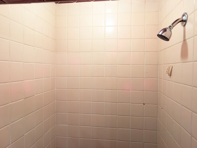 room details featuring tiled shower