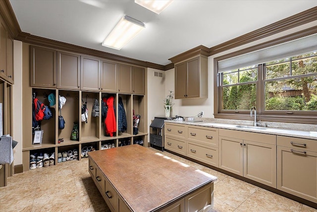 mudroom with visible vents and a sink