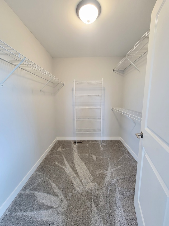 walk in closet featuring carpet