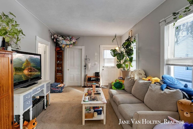 living room with light colored carpet