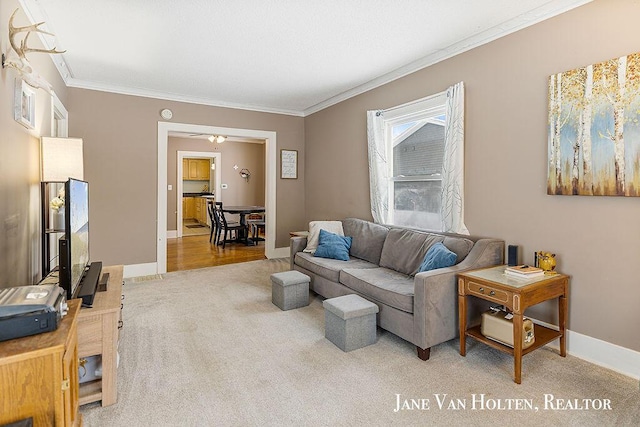 living area with baseboards, carpet flooring, and crown molding