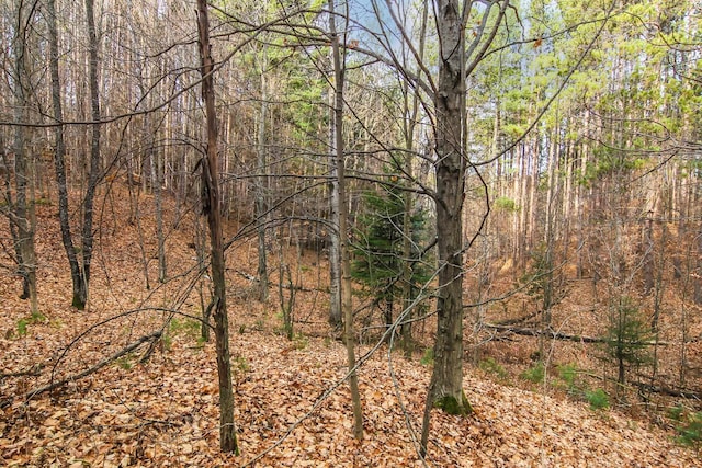 5172 Cedar Valley Rd, Traverse City, MI 49684 - photo 15