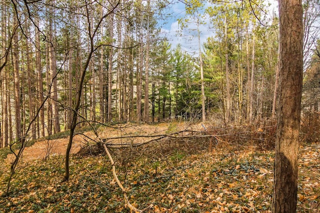 5172 Cedar Valley Rd, Traverse City, MI 49684 - photo 21