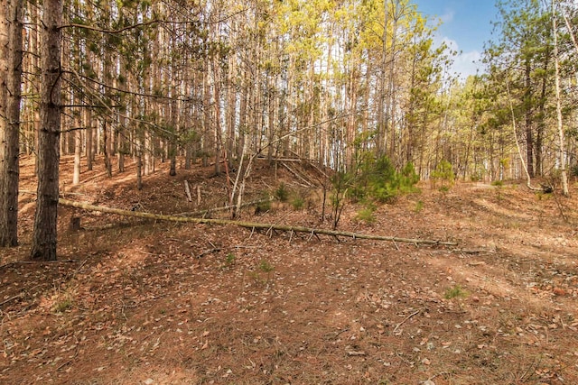 5172 Cedar Valley Rd, Traverse City, MI 49684 - photo 12