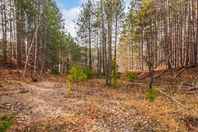 5172 Cedar Valley Rd, Traverse City, MI 49684 - photo 13