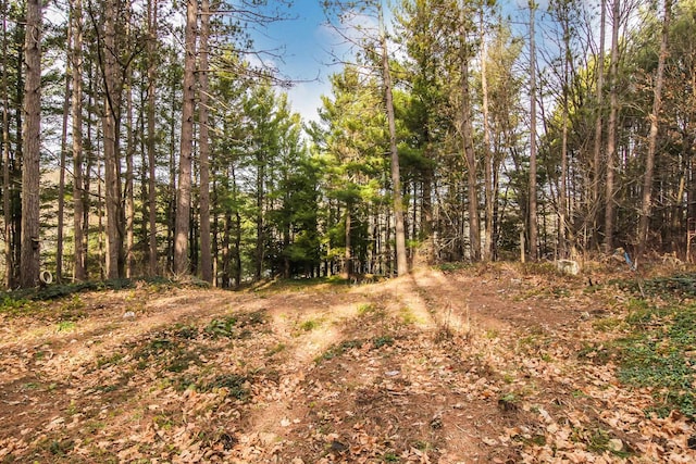 5172 Cedar Valley Rd, Traverse City, MI 49684 - photo 7