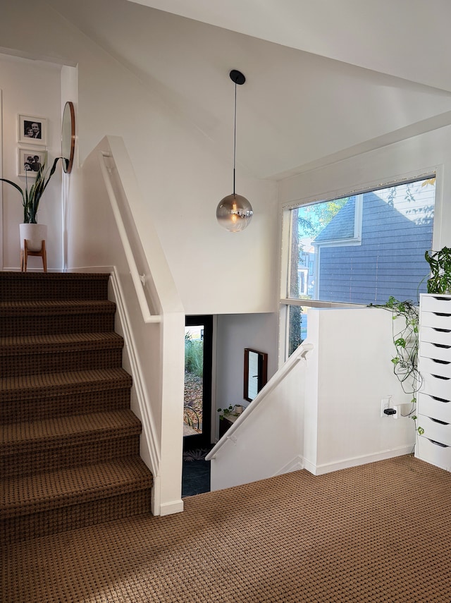 stairway with carpet flooring