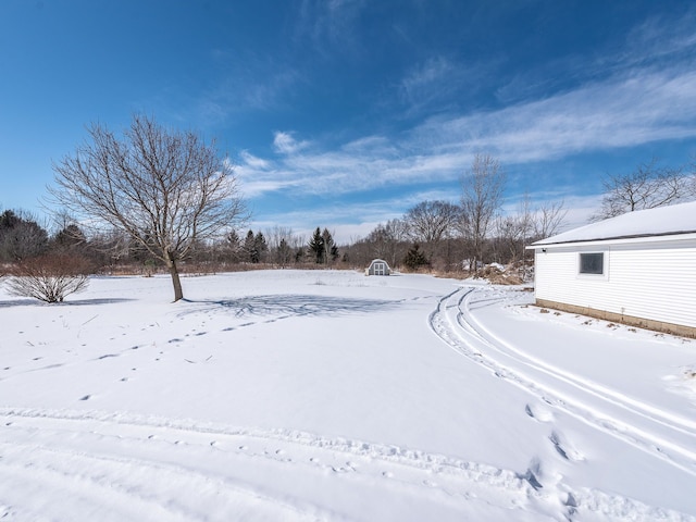 view of snowy yard