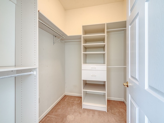 spacious closet with light colored carpet