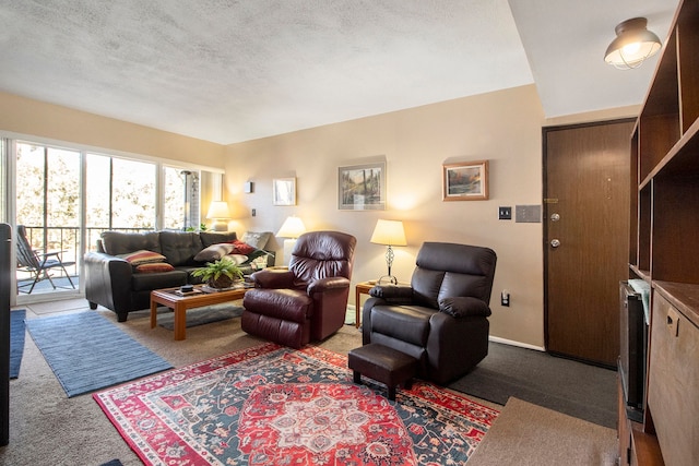 carpeted living area with baseboards and a textured ceiling