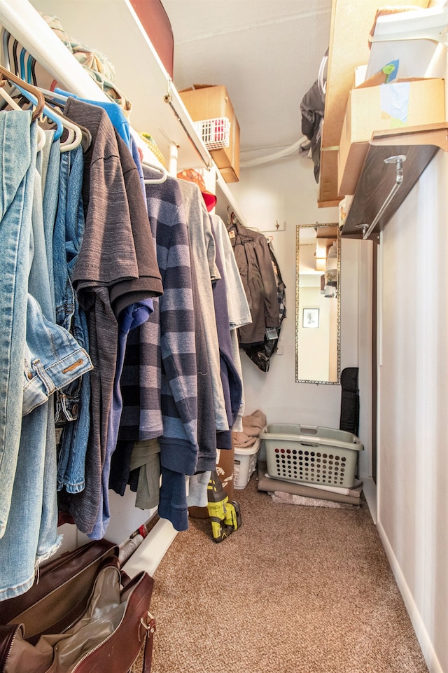 spacious closet with carpet flooring