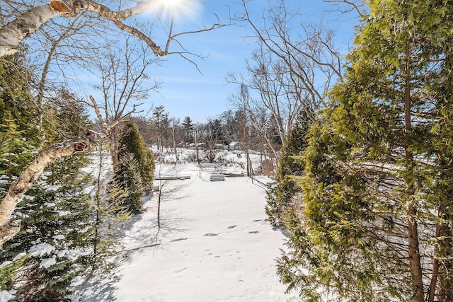 view of yard layered in snow