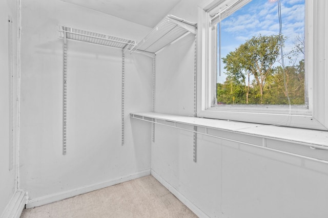 view of spacious closet