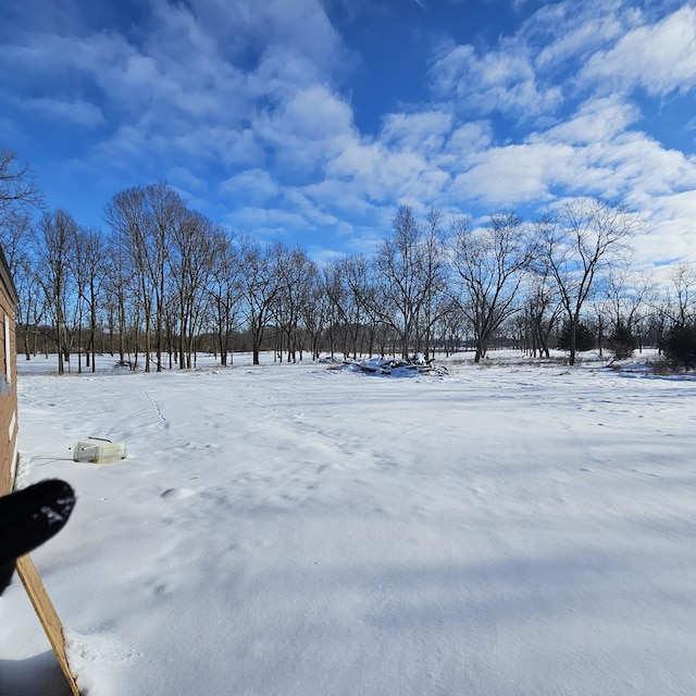 view of snowy yard