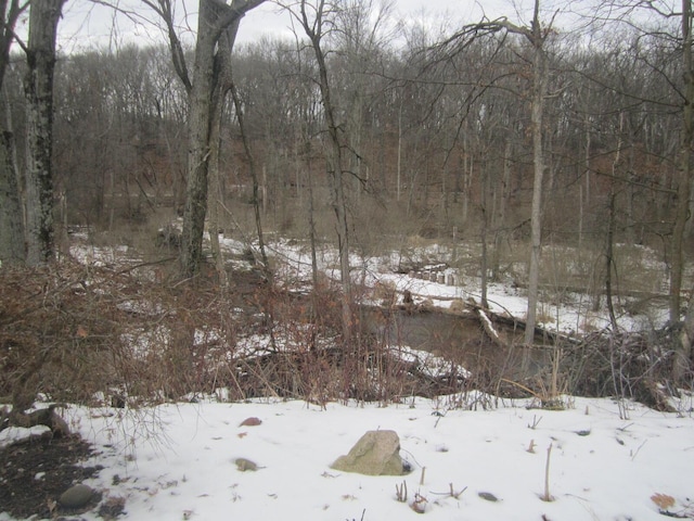 view of snow covered land