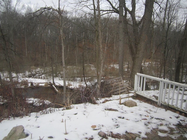 view of yard layered in snow