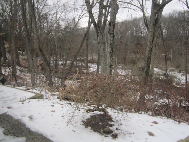 view of snowy landscape