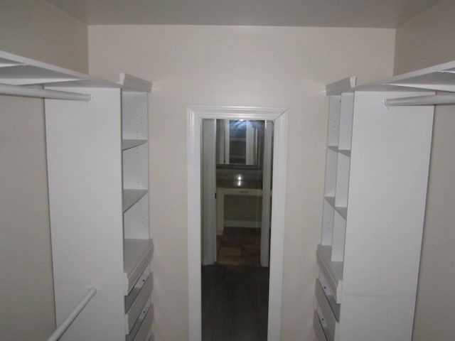 view of walk in closet