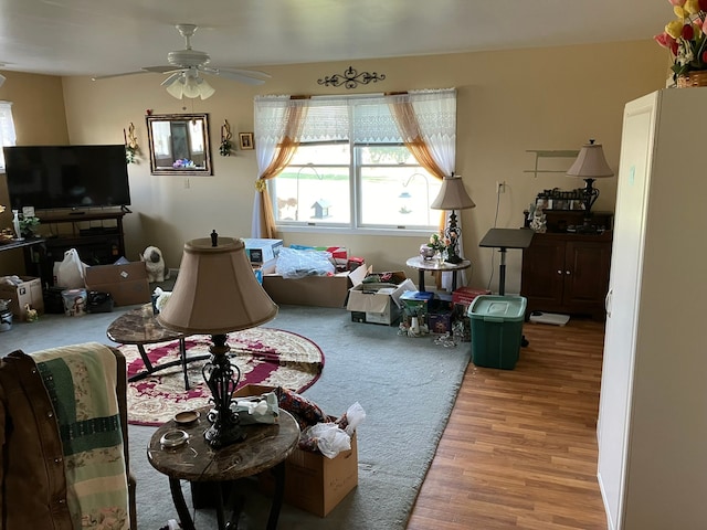 living room featuring a ceiling fan and wood finished floors