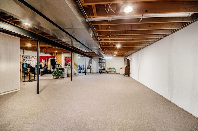 unfinished below grade area with carpet floors