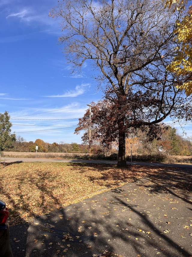 view of yard featuring a rural view