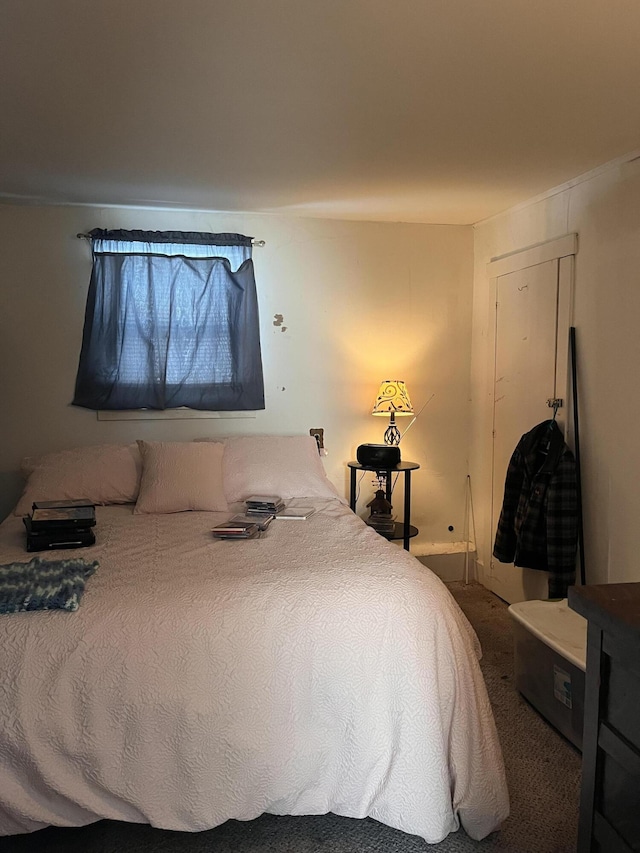 bedroom with carpet flooring