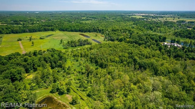 1286 Gray Fox Ct, Howell, MI 48843 - aerial view of a forest