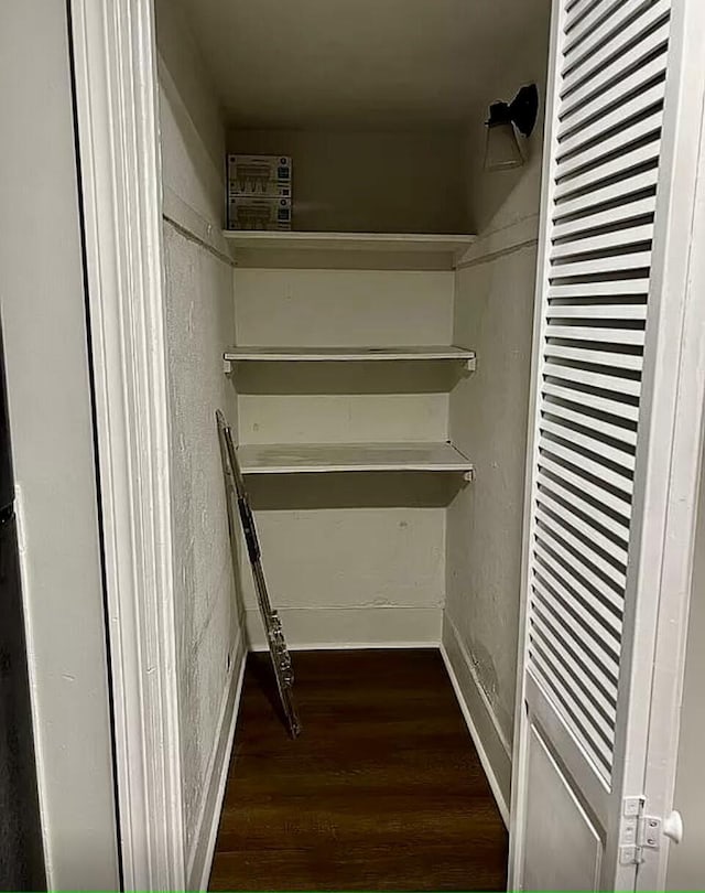 walk in closet featuring dark wood-style floors