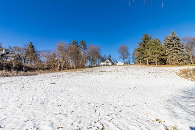 view of yard layered in snow