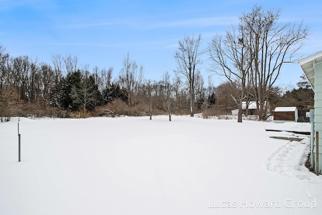 view of yard covered in snow