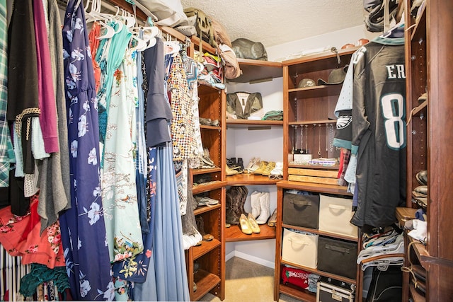 view of spacious closet