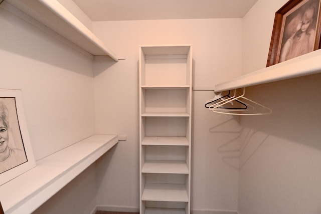 view of spacious closet