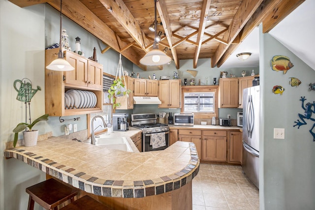 kitchen featuring pendant lighting, appliances with stainless steel finishes, a sink, under cabinet range hood, and a peninsula