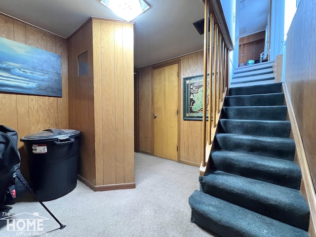 stairway with carpet and wooden walls