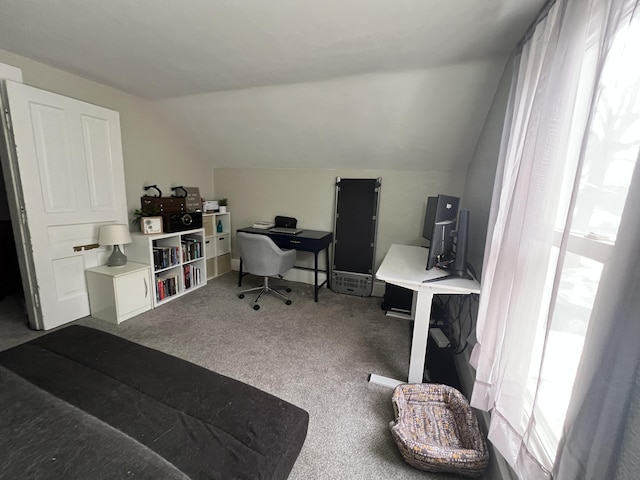 office space featuring carpet floors and lofted ceiling