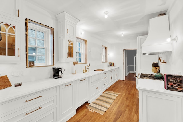 bathroom with wood finished floors and a sink