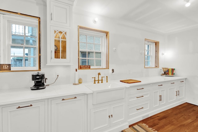 bathroom featuring a wealth of natural light, a sink, and wood finished floors