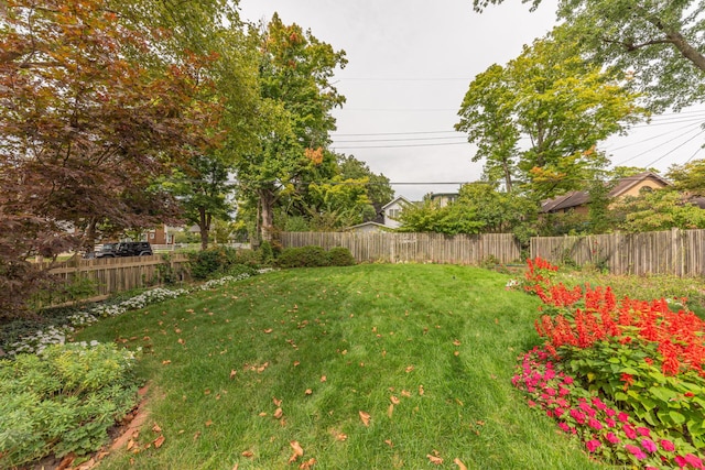 view of yard with a fenced backyard