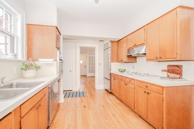 kitchen with under cabinet range hood, a sink, light countertops, appliances with stainless steel finishes, and light wood-type flooring