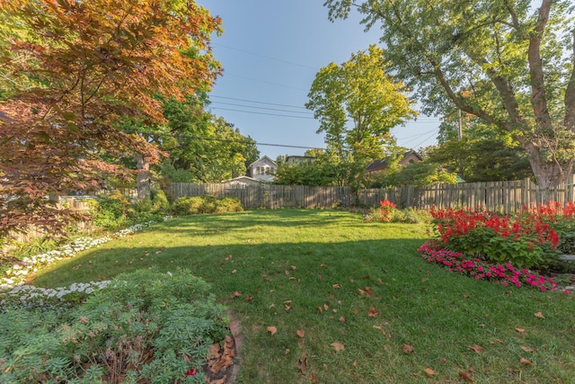 view of yard with a fenced backyard