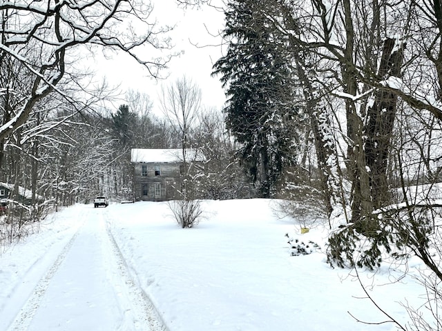 view of yard covered in snow