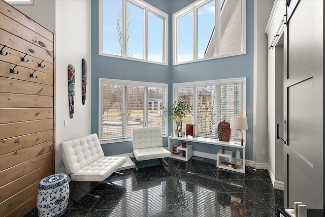 living area featuring a healthy amount of sunlight, baseboards, a barn door, a towering ceiling, and granite finish floor