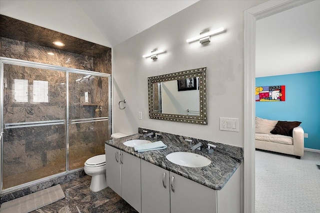 bathroom featuring vaulted ceiling, toilet, a stall shower, and a sink