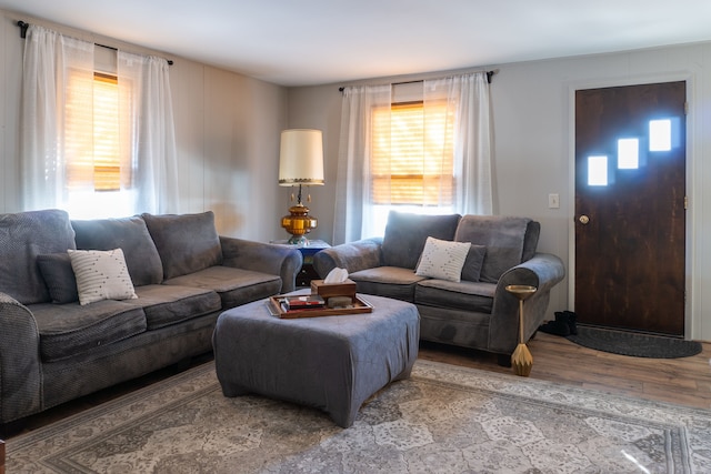 living area with a healthy amount of sunlight and wood finished floors