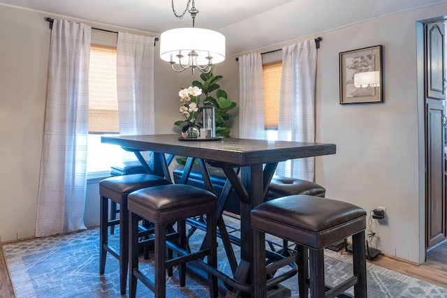 dining room featuring wood finished floors and a healthy amount of sunlight