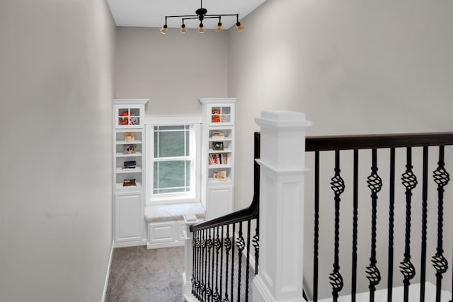 stairs featuring carpet flooring