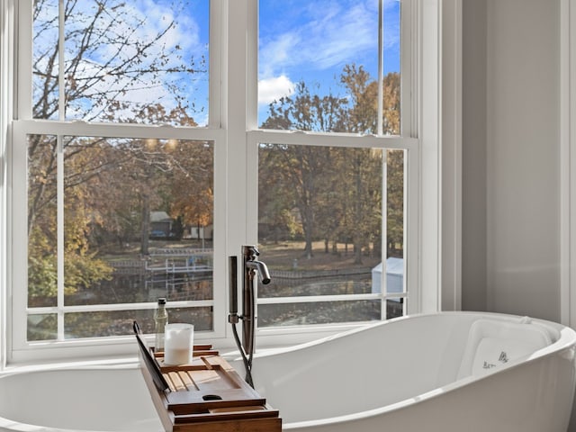 bathroom with a freestanding bath