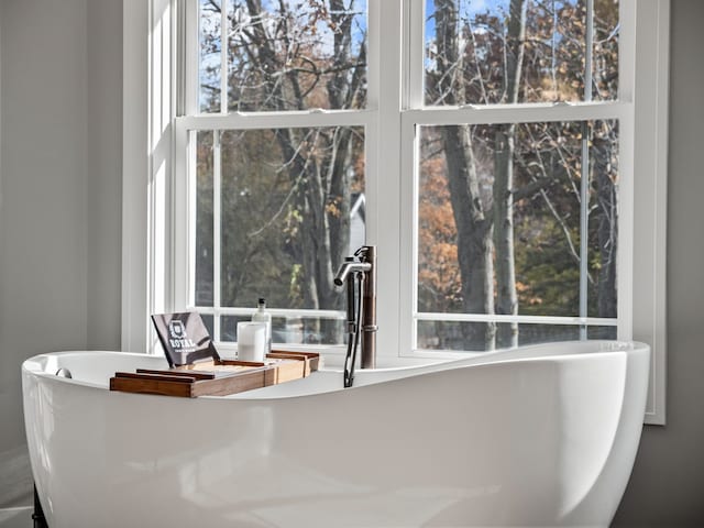 interior details with a soaking tub and a sink