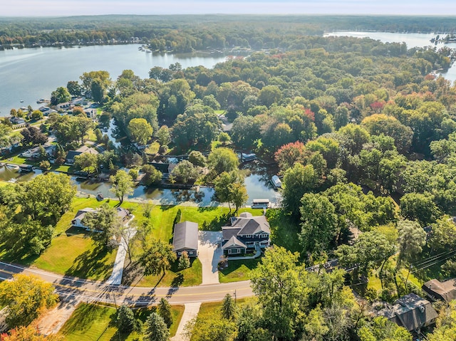 aerial view with a water view and a view of trees