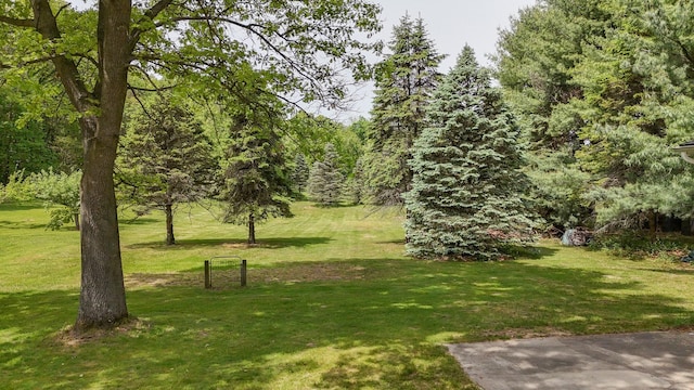 54348 Twin Lakes Rd, Dowagiac, MI 49047 - view of green lawn